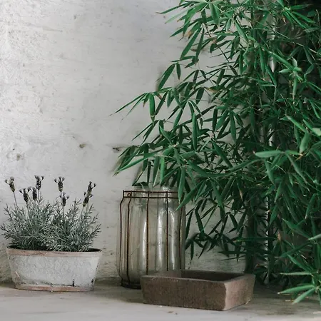 Konukevi Maison Mariette *