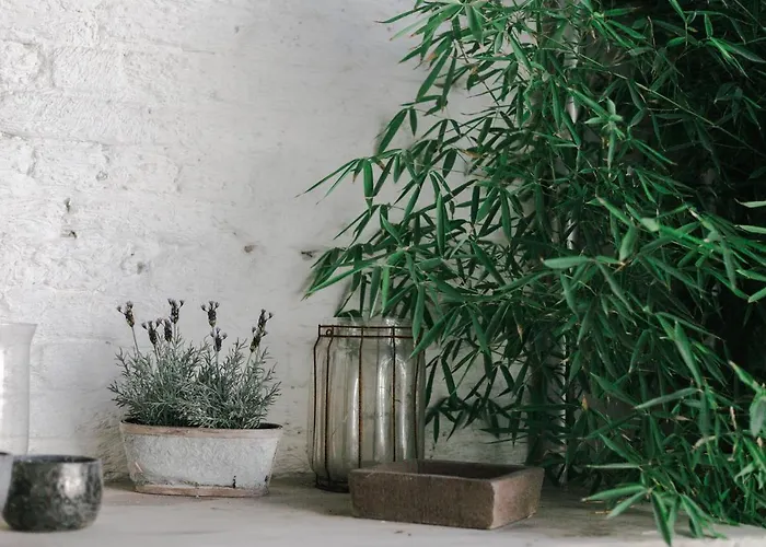 ゲストハウス Maison Mariette *